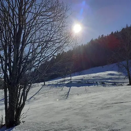 Hébergement de vacances Haus Mit Bergsicht Und Rosengarten Zuerich 30 Min Jestetten