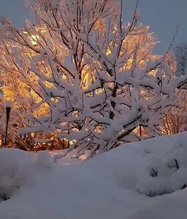Haus Mit Bergsicht Und Rosengarten Zuerich 30 Min * Jestetten