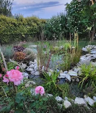 Haus Mit Bergsicht Und Rosengarten Zuerich 30 Min Jestetten
