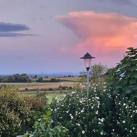 Haus Mit Bergsicht Und Rosengarten Zuerich 30 Min Hébergement de vacances *