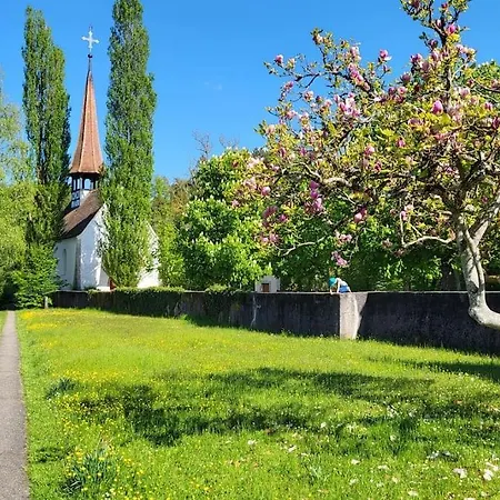 Haus Mit Bergsicht Und Rosengarten Zuerich 30 Min Hébergement de vacances *