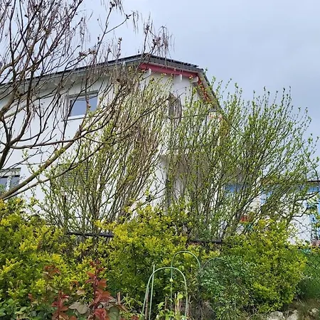 Haus Mit Bergsicht Und Rosengarten Zuerich 30 Min Jestetten